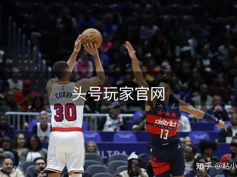 网站概况